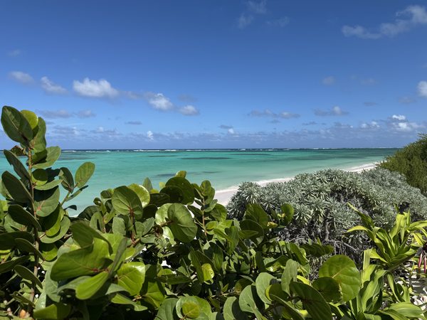 Sailing the British Virgin Islands and USVI